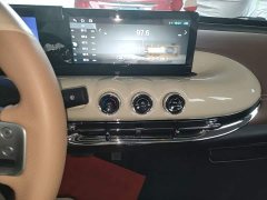 Wuling Binguo 333km Joy Edition - ფოტო 13