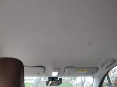 Wuling Binguo 333km Joy Edition - ფოტო 18
