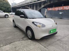Wuling Binguo 333km Joy Edition - ფოტო 4