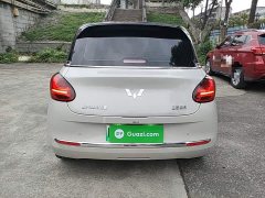 Wuling Binguo 333km Joy Edition - ფოტო 6
