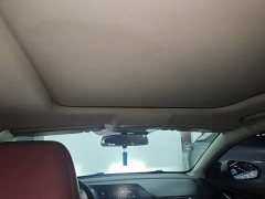 Changan Eado PLUS Blue Whale NE 1.4T GDI DCT Flagship - ფოტო 18