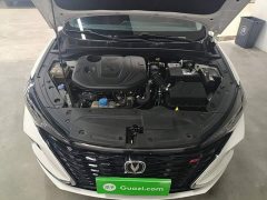 Changan Eado PLUS Blue Whale NE 1.4T GDI DCT Flagship - ფოტო 20