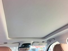 Chery Tiggo 8L 2.0T FWD Luxury 5-Seater - ფოტო 18