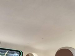 FAW Besturn Xiaoma 222km Lightning Edition - ფოტო 18