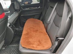 Cadillac XT5 2.0T AWD Luxury - ფოტო 15