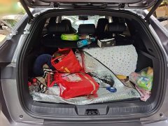 BYD Song Plus New Energy 2021 DM-i 110KM Flagship Plus - ფოტო 10