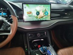 BYD Yuan Plus DM-i 2021 112KM Premium Edition - ფოტო 13