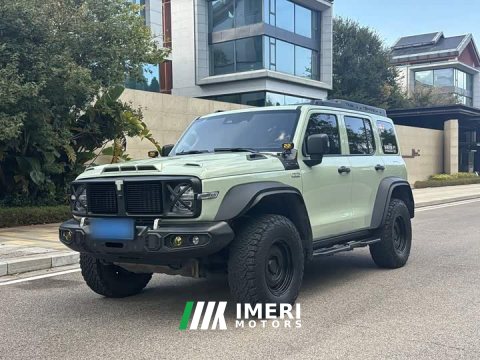 2022 Tank 300 2021 2.0T Wind Forest Iron Cavalry - ავტომობილი ჩინეთიდან