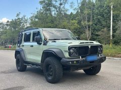 Tank 300 2021 2.0T Wind Forest Iron Cavalry - ფოტო 4