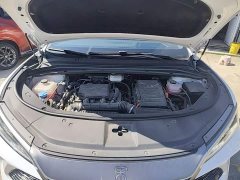 BYD Song L DM-i 112km Leading Edition - ფოტო 20