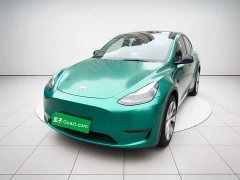 Tesla Model Y Standard Range RWD - ფოტო 1