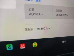 Tesla Model Y Standard Range RWD - ფოტო 5