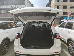 Chery Tiguan 8 PLUS Champion Edition 290TGDI DCT Haoqing Edition 5-Seat - ფოტო 19