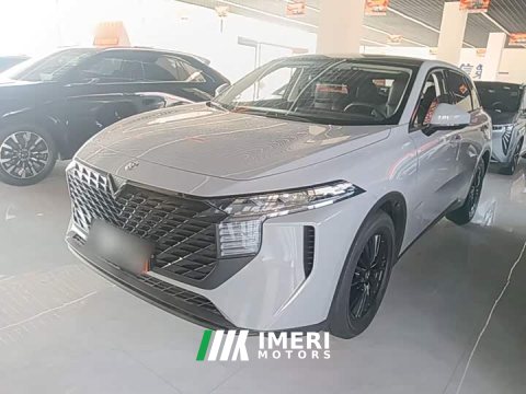 2021 Nissan Raize 260T Love Bean Edition - ავტომობილი ჩინეთიდან