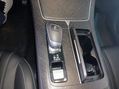 Nissan Raize 260T Love Bean Edition - ფოტო 14