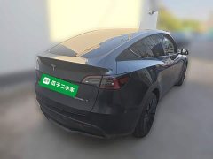Tesla Model Y Rear-Wheel Drive - ფოტო 10