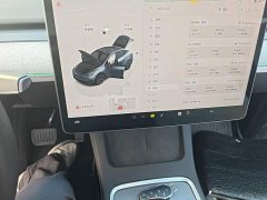 Tesla Model Y Rear-Wheel Drive - ფოტო 18