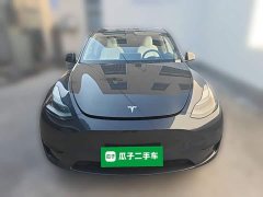 Tesla Model Y Rear-Wheel Drive - ფოტო 5