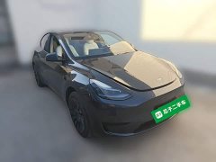 Tesla Model Y Rear-Wheel Drive - ფოტო 6