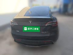 Tesla Model Y Rear-Wheel Drive - ფოტო 8