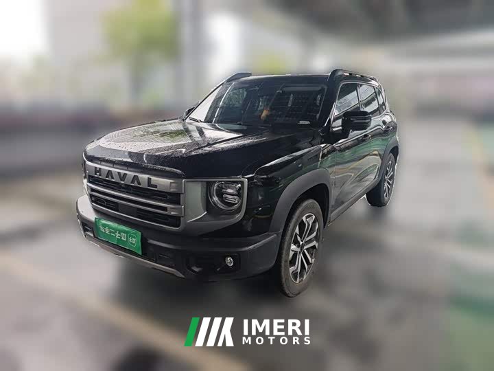 Great Wall Dachshund 2024 1.5T DCT Border Collie Edition - ავტომობილი ჩინეთიდან