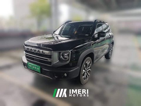 2023 Great Wall Dachshund 2024 1.5T DCT Border Collie Edition - ავტომობილი ჩინეთიდან