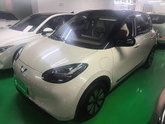 Wuling Binguo 333km Joy Edition - ფოტო 1