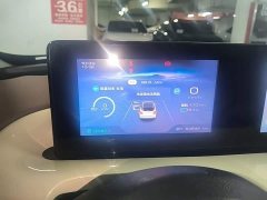 Wuling Binguo 333km Joy Edition - ფოტო 12