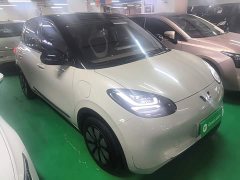 Wuling Binguo 333km Joy Edition - ფოტო 4