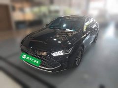 BYD Qin PLUS 2023 Champion Edition DM-i 55KM Leading - ფოტო 3