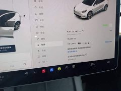 Tesla Model Y Standard Range RWD - ფოტო 12