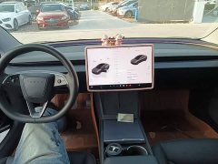 Tesla Model 3 Rear-Wheel Drive - ფოტო 10