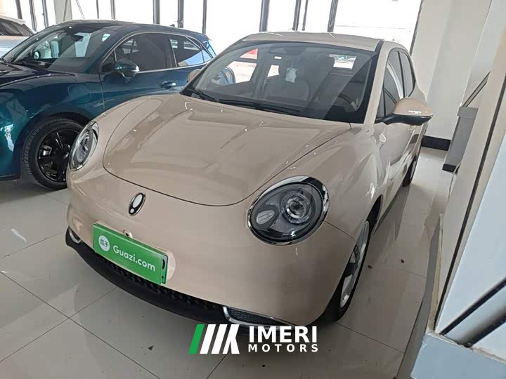 ORA Good Cat 401km Standard Range Deluxe LFP - ავტომობილი ჩინეთიდან