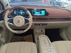ORA Good Cat 401km Standard Range Deluxe LFP - ფოტო 10