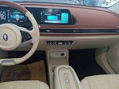 ORA Good Cat 401km Standard Range Deluxe LFP - ფოტო 13