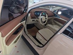 ORA Good Cat 401km Standard Range Deluxe LFP - ფოტო 16
