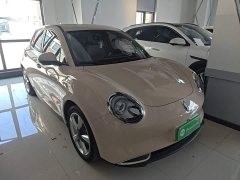 ORA Good Cat 401km Standard Range Deluxe LFP - ფოტო 4