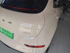 ORA Good Cat 401km Standard Range Deluxe LFP - ფოტო 8