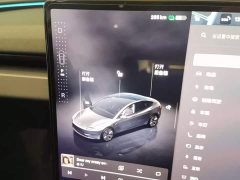 Tesla Model 3 Rear-Wheel Drive - ფოტო 14
