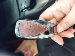 Changan Eado Blue Whale 1.5T 500Bar Luxury - ფოტო 9