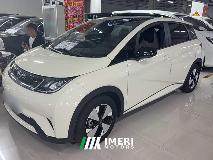 BYD Dolphin 420km Fashion Edition - ავტომობილი ჩინეთიდან