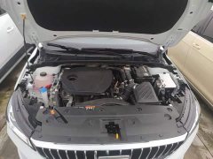 Geely Emgrand 2026 4 Million Commemorative Edition 1.5L CVT Flying Edition - ფოტო 20