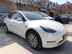 Tesla Model Y Long Range All-Wheel Drive - ფოტო 4