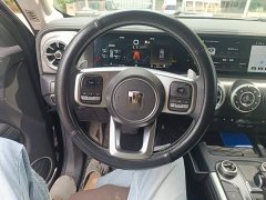 Tank 300 Off-Road Edition 2.0T Conqueror - ფოტო 3