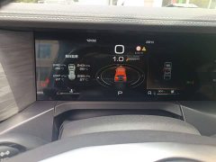 Tank 300 Off-Road Edition 2.0T Conqueror - ფოტო 4