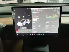 Tesla Model 3 Facelift Standard Range RWD Upgrade 3D1 - ფოტო 13