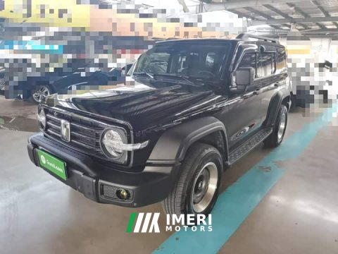 2023 Tank 300 Off-Road Edition 2.0T Conqueror - ავტომობილი ჩინეთიდან