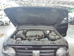 Tank 300 Off-Road Edition 2.0T Conqueror - ფოტო 20