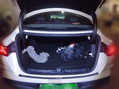 BYD Qin L DM-i 80KM Excellence Edition - ფოტო 10
