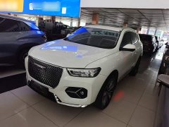 Haval H6 1.5T Automatic Champion Edition - ფოტო 2